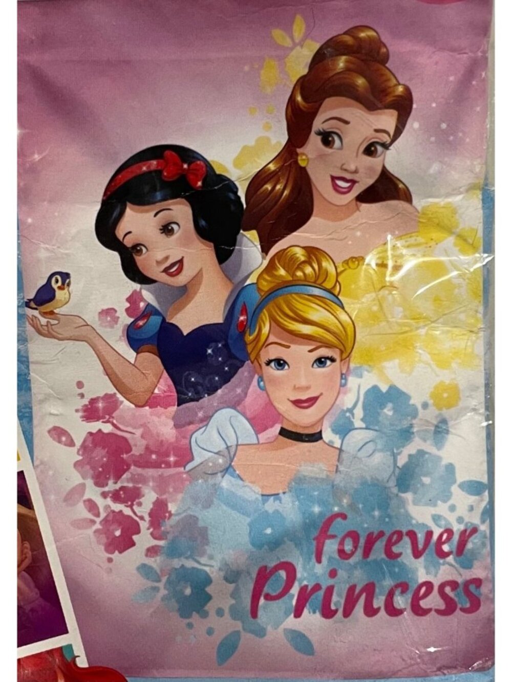 Disney Forever Princess Large House Flag 28x40 Belle Snow White Cinderella Party